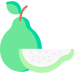 Guava icon