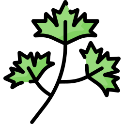 Cilantro icon