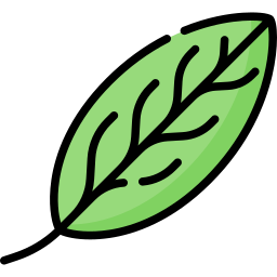 Bayleaf icon