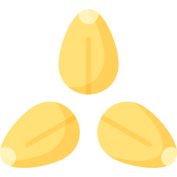 Sesame seeds icon