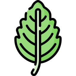 Basil icon