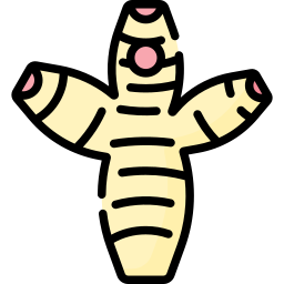 Galangal icon