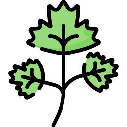 Parsley icon