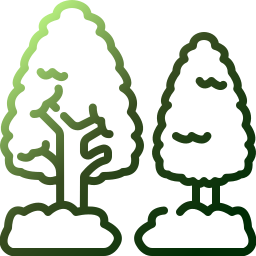 Tree icon