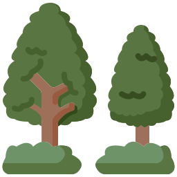 Tree icon