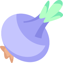 Onion icon