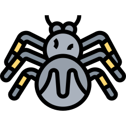 spinne icon