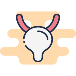 Human organ icon