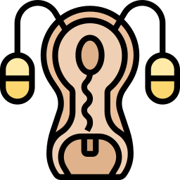 Reproductive system icon