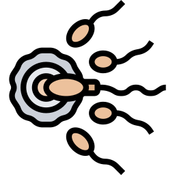 spermatozoon icon