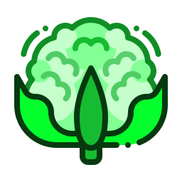 blumenkohl icon