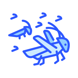 Locust icon