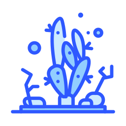 Cactus icon