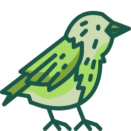 Bird icon