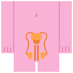 生殖器系 icon