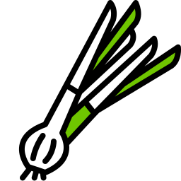 oignon vert Icône