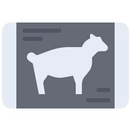 schapenvlees icoon