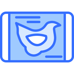 Chicken icon