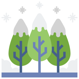 fiocco invernale icona