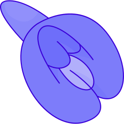 Pea icon