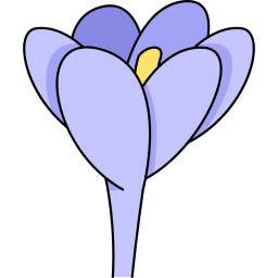 crocus Icône