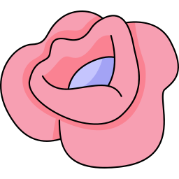 Poppy icon