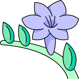 freesia Icône