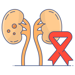 Kidney cancer icon