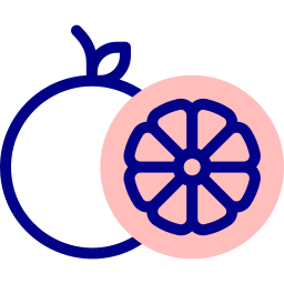 Grapefruit icon