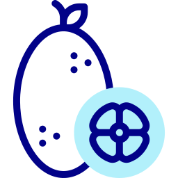 Kumquat icon