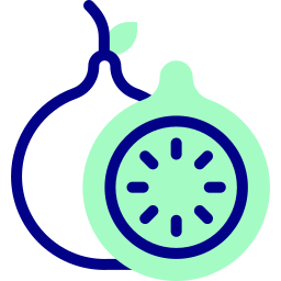 Guava icon