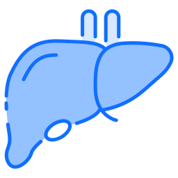 Liver icon