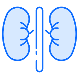 腎臓 icon