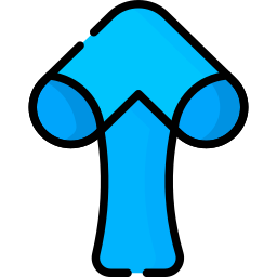 Up arrow icon