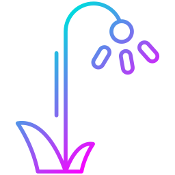 수선화 icon