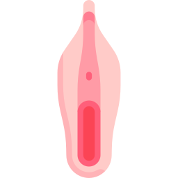 vulva icoon