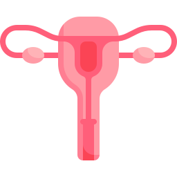 Uterus icon