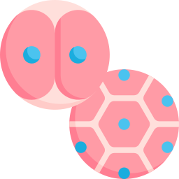 la division cellulaire Icône