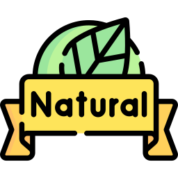 naturalny ikona
