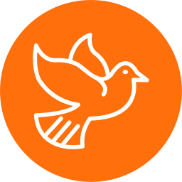 Pigeon icon