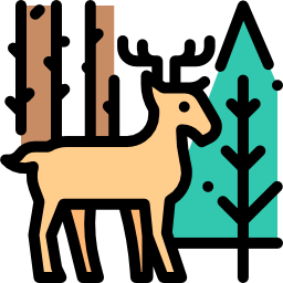 wald icon