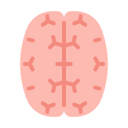 Brain icon