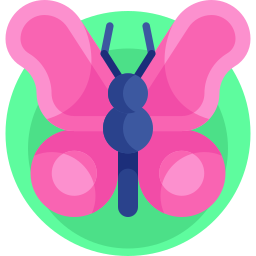 Butterfly icon