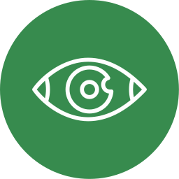 Eye icon