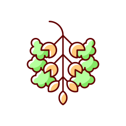 Цветочная пыльца иконка