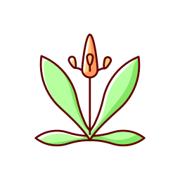 Plant icon