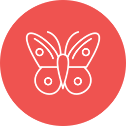 Butterfly icon