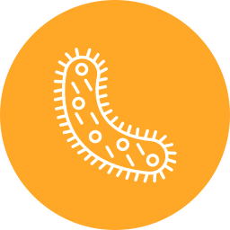 Bacteria icon