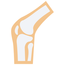 Knee joint icon