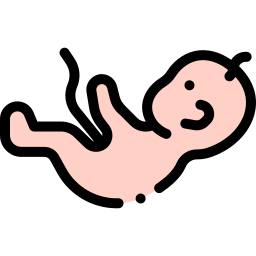 feto icona